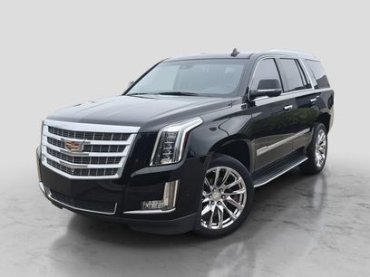Used 2019 Cadillac Escalade Luxury w/ LPO, Radiant Package