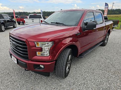 Used 2017 Ford F150 XLT w/ Equipment Group 302A Luxury AWD/4WD image 5
