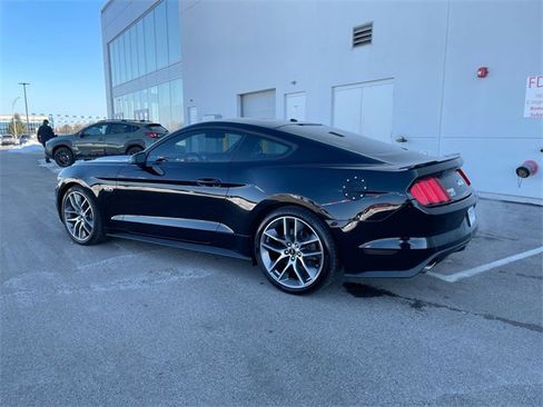 Used 2017 Ford Mustang GT Premium w/ Equipment Group 401A image 3