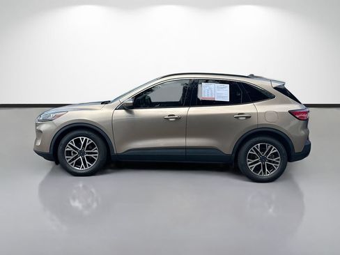 Used 2020 Ford Escape SEL FWD image 8