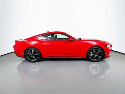 Used 2024 Ford Mustang Premium