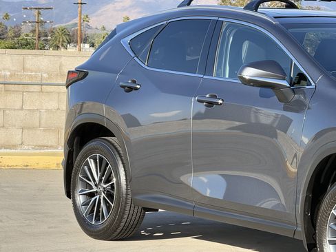 Used 2025 Lexus NX 350h AWD w/ Premium Package image 5
