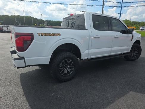 Used 2025 Ford F150 Tremor w/ Tow/Haul Package AWD/4WD image 5