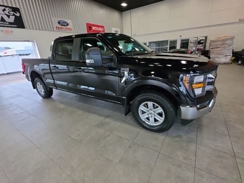 Used 2023 Ford F150 XLT w/ Trailer Tow Package AWD/4WD image 6