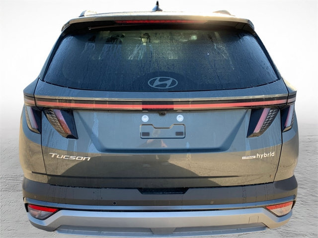New 2026 Hyundai Tucson Limited AWD/4WD image 5