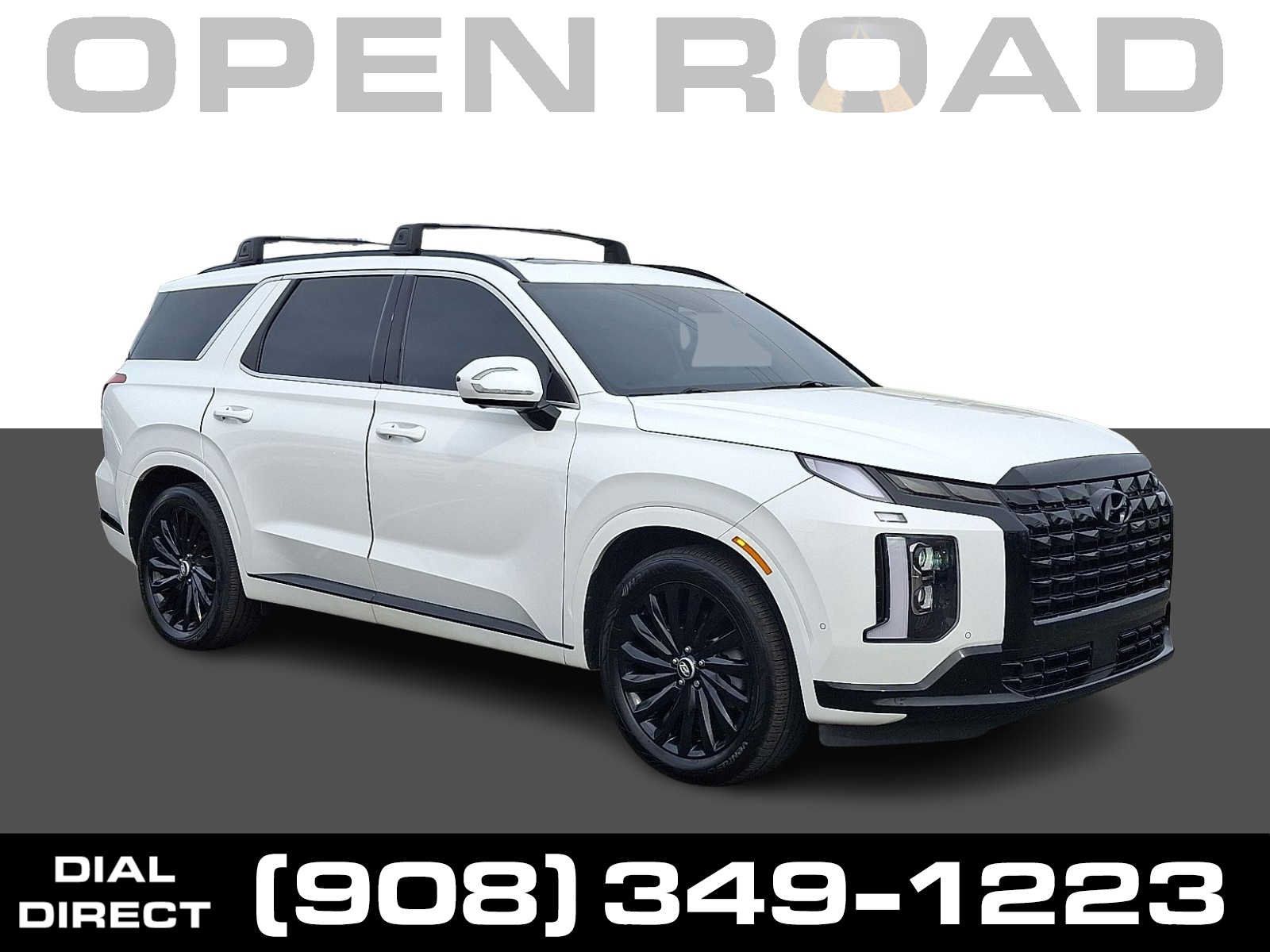 Used 2025 Hyundai Palisade Calligraphy AWD/4WD image 1