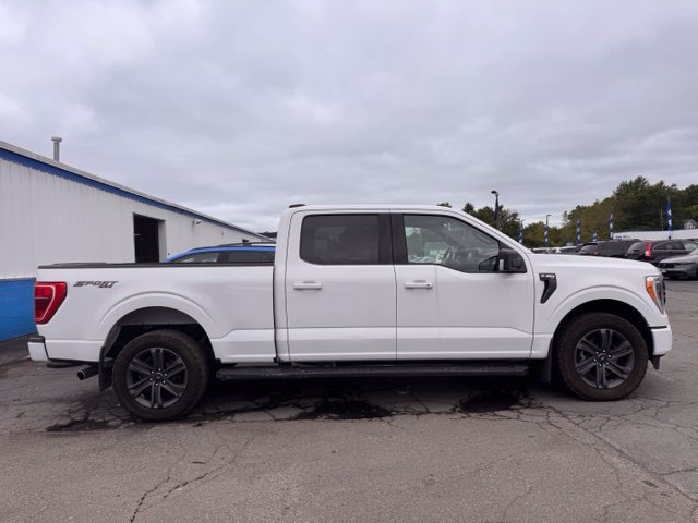 Used 2023 Ford F150 XLT w/ Equipment Group 302A High AWD/4WD image 1