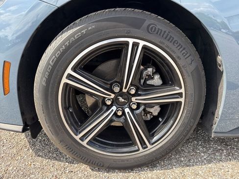 Used 2025 Ford Mustang Premium RWD image 4