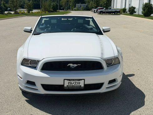 Used 2014 Ford Mustang Premium RWD image 2