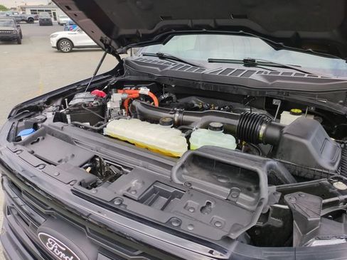 Certified 2024 Ford F150 XLT w/ Equipment Group 302A MID AWD/4WD image 35