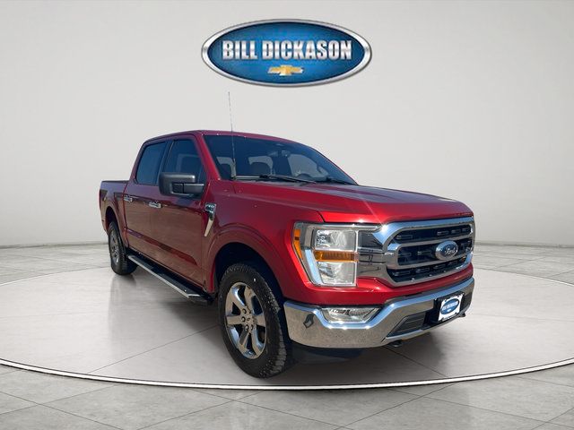 Used 2023 Ford F150 XLT w/ Equipment Group 301A Mid AWD/4WD image 1