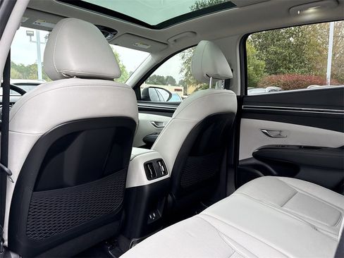 Used 2024 Hyundai Tucson Limited image 13