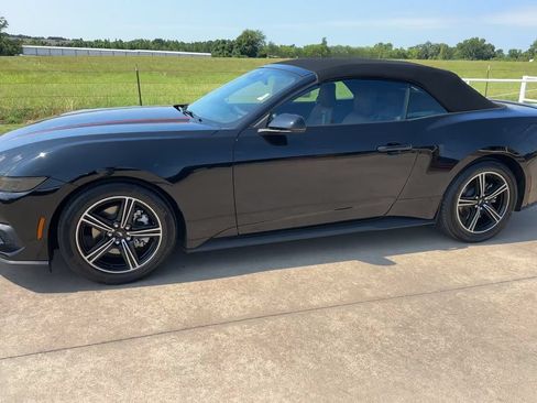 Used 2025 Ford Mustang Premium RWD image 4