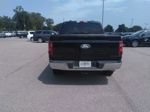 Used 2025 Ford F150 XLT w/ Equipment Group 301A Standard RWD image 10