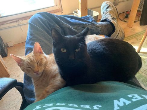 Used 2015 Hyundai Accent GLS image 23