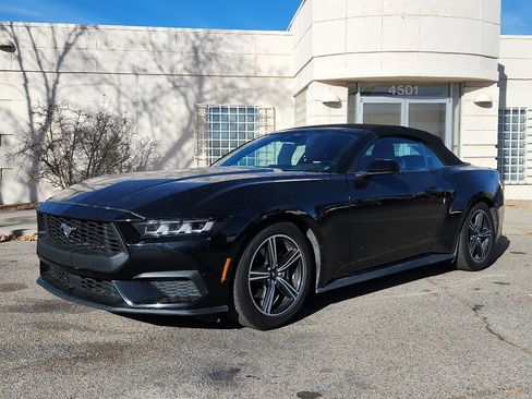 Used 2024 Ford Mustang Premium image 1