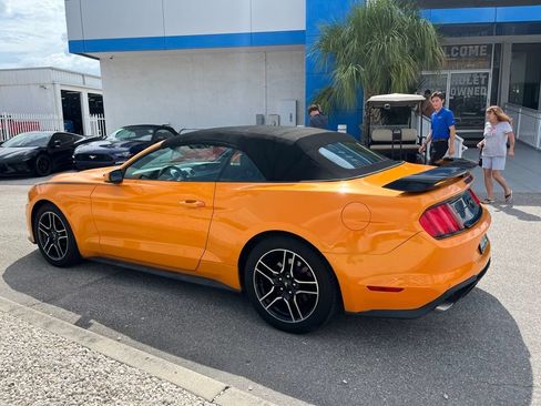 Used 2019 Ford Mustang Premium w/ Equipment Group 201A RWD image 6