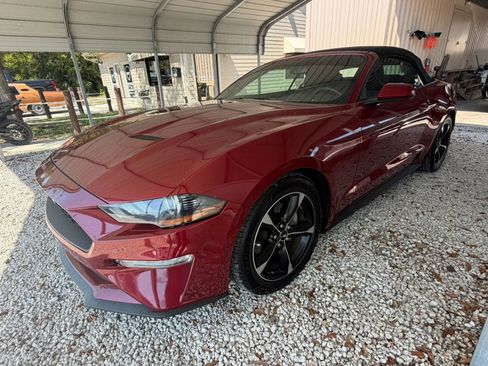 Used 2018 Ford Mustang Convertible w/ Equipment Group 101A image 1