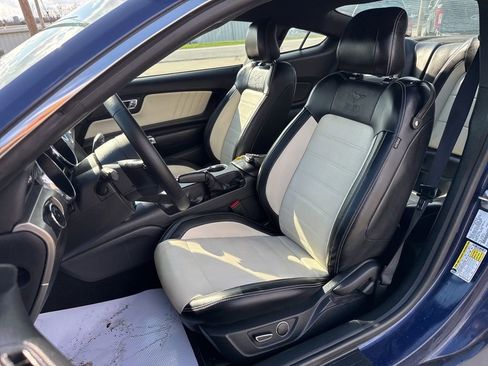 Used 2015 Ford Mustang 50 Years image 3