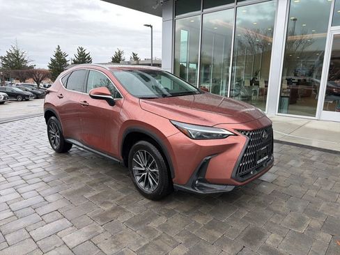 Certified 2025 Lexus NX 350h AWD w/ Cold Area Package image 2