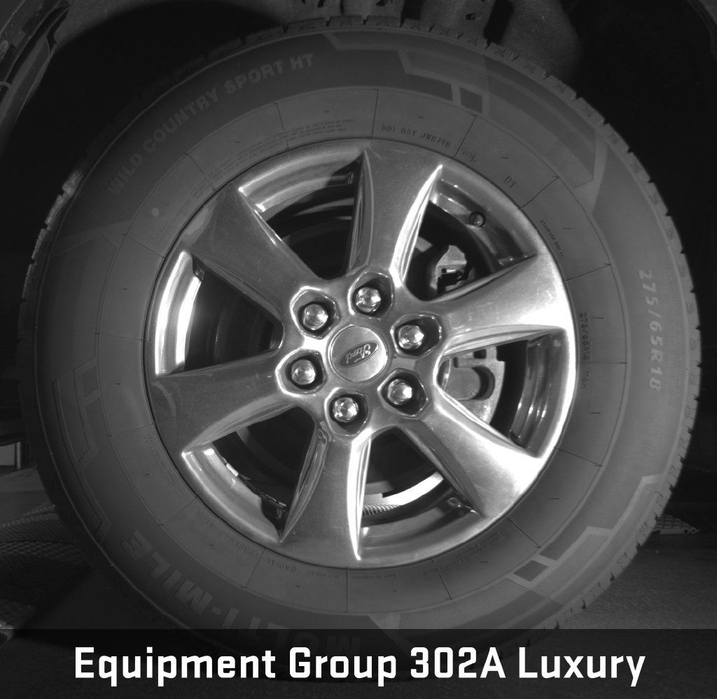 Used 2019 Ford F150 XLT w/ Equipment Group 302A Luxury AWD/4WD image 10