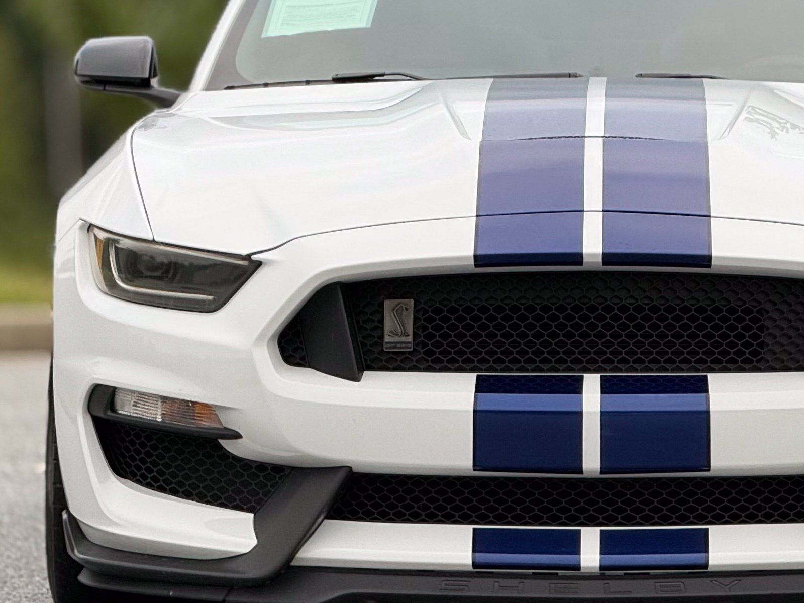 Used 2016 Ford Mustang Shelby GT350 w/ Technology Package RWD image 14