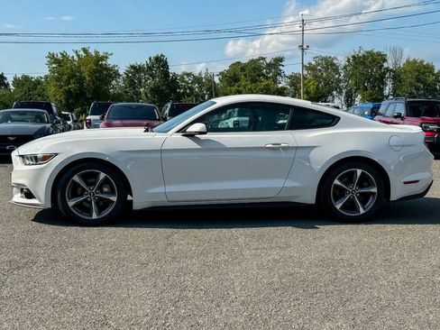 Used 2016 Ford Mustang Premium w/ Equipment Group 201A RWD image 6