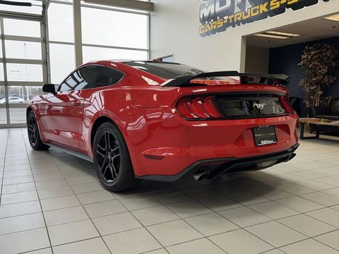 Used 2019 Ford Mustang Premium w/ Equipment Group 201A image 4