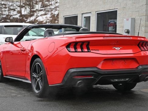 Used 2024 Ford Mustang Premium image 3