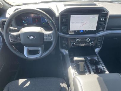 New 2025 Ford F150 XLT w/ Equipment Group 302A MID