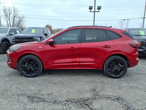 Used 2023 Ford Escape ST-Line Elite w/ Premium Technology Package image 5