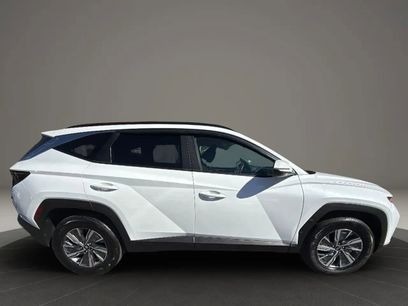 Used 2023 Hyundai Tucson Blue w/ Cargo Package