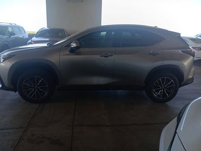 Used 2024 Lexus NX 350h AWD w/ Vision Package