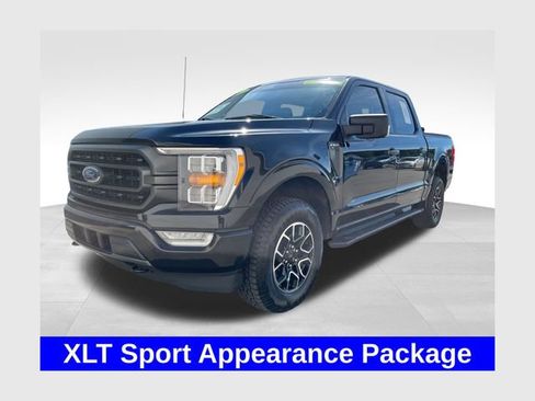 Used 2023 Ford F150 XLT w/ Equipment Group 302A High AWD/4WD image 1