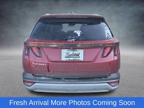 Used 2025 Hyundai Tucson SEL image 5