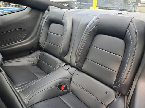 New 2026 Ford Mustang Premium w/ Mustang Nite Pony Package image 10
