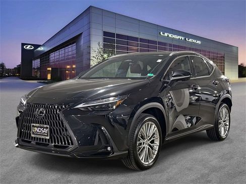 Used 2023 Lexus NX 300h 350h Luxury image 1