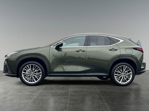 Used 2025 Lexus NX 350h AWD w/ Premium Package image 4
