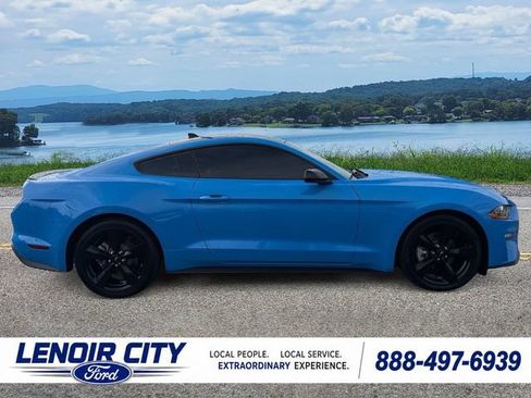 Used 2023 Ford Mustang Coupe w/ Equipment Group 101A RWD image 2