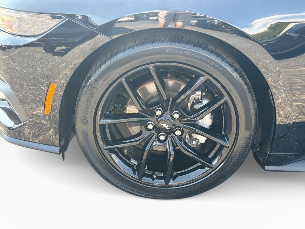Certified 2024 Ford Mustang Premium RWD image 15