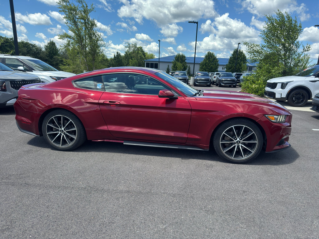 Used 2017 Ford Mustang Premium w/ Wheel & Stripe Package RWD image 5