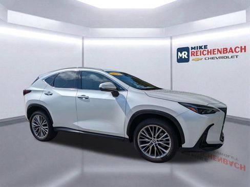 Used 2025 Lexus NX 350h AWD w/ Cold Area Package image 2