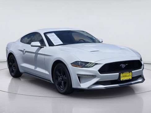 Used 2019 Ford Mustang Coupe RWD image 3