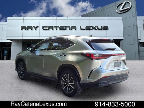 Certified 2022 Lexus NX 350 AWD image 6