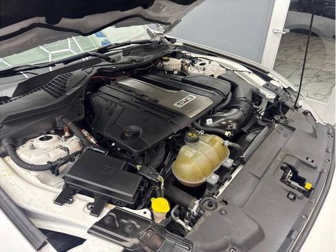 Used 2019 Ford Mustang GT w/ Equipment Group 301A RWD image 20
