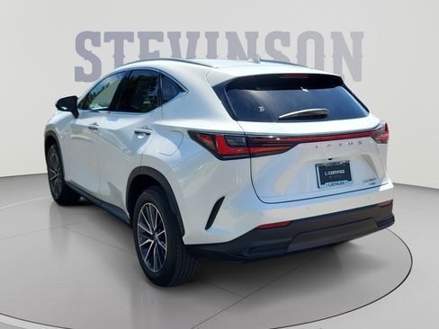 Certified 2025 Lexus NX 350h AWD w/ Cold Area Package image 3