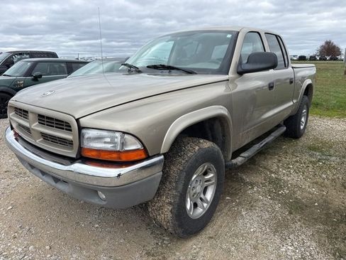 Used 2003 Dodge Dakota SLT image 1