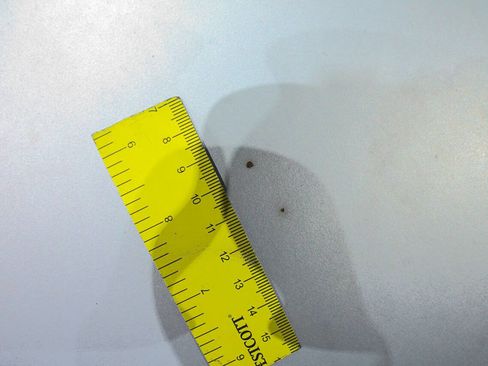 Used 1989 Jeep Cherokee Pioneer image 32