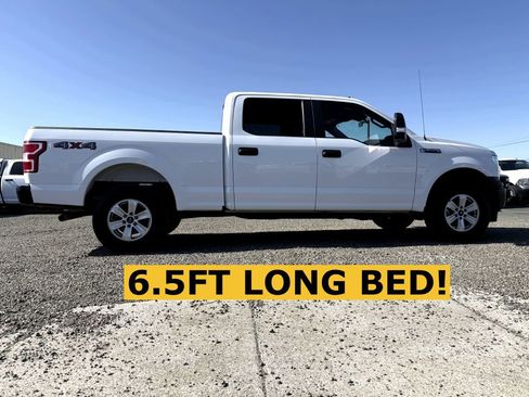 Used 2020 Ford F150 XL w/ XL Power Equipment Group AWD/4WD image 5