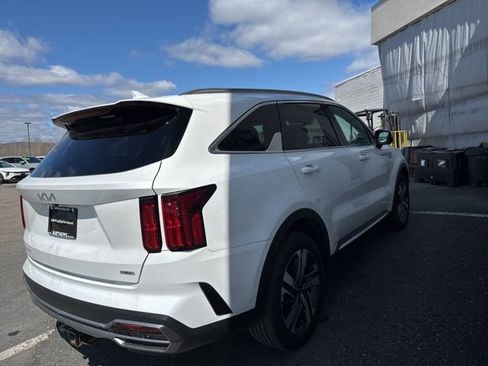 Certified 2023 Kia Sorento SX Prestige image 5